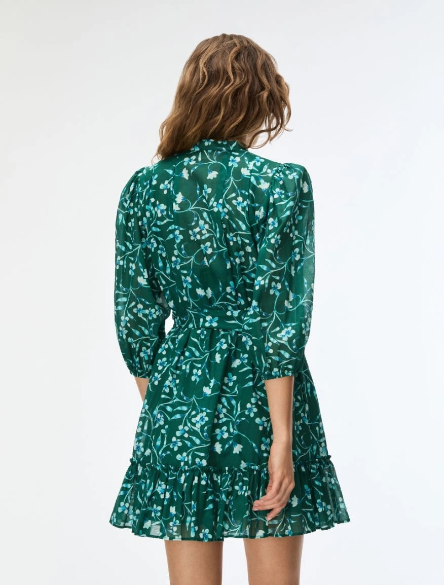IBLUES